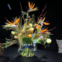 Exotische Strelizien