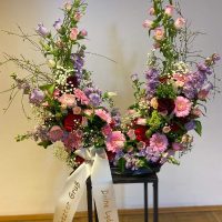 Urnenbogen violett Urnenbogen violett und rosa