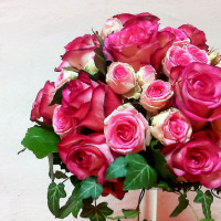 rot-weisse Rosen für den Besprechungsraum