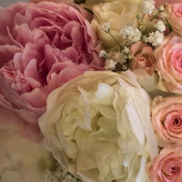 Pfingstrosen Empfangsstrauss