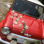 Braut-Mini mit aufgeklebten Gerbera Braut-Mini mit aufgeklebten Gerbera